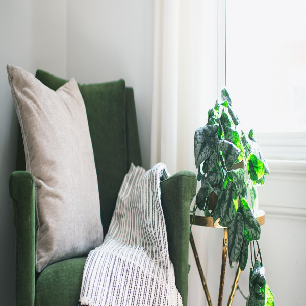 clean home siding after pressure washing