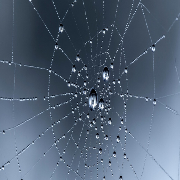 nano coating water beading closeup